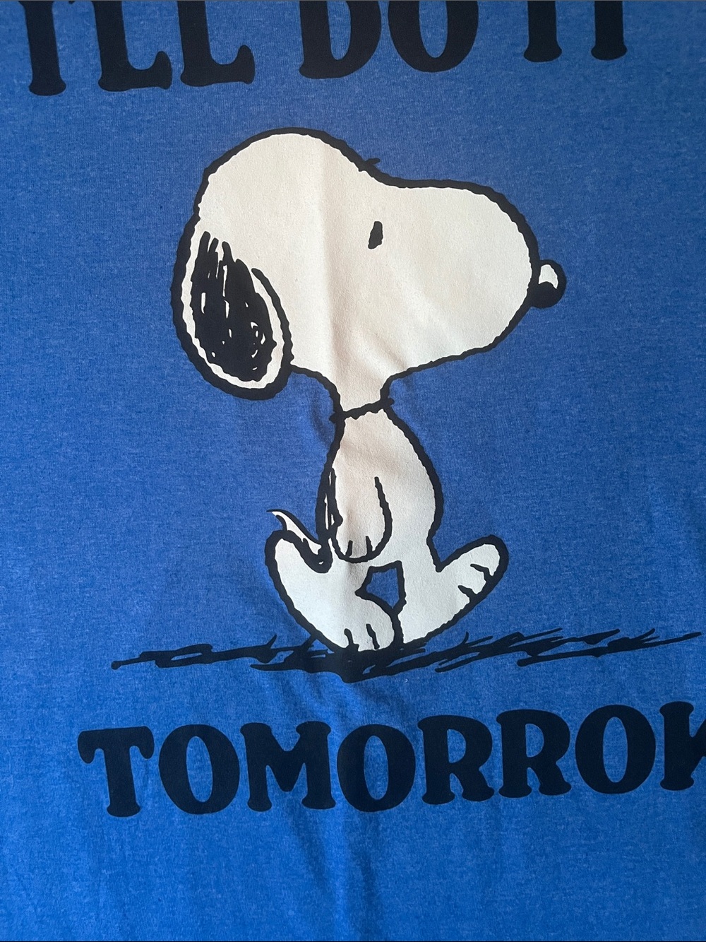 Peanuts Snoopy "I'll Do It Tomorrow" T-Shirt, Medium - Picture 2 of 4